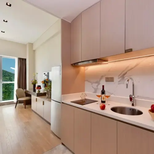 Deluxe Queen Room（Complete Kitchen And Bathroom）