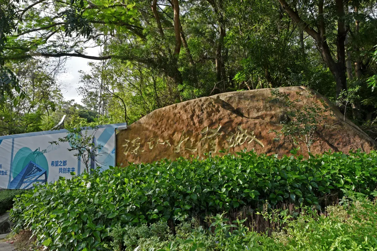 Shenzhen Nanshan Jingfeng Hotel (5)