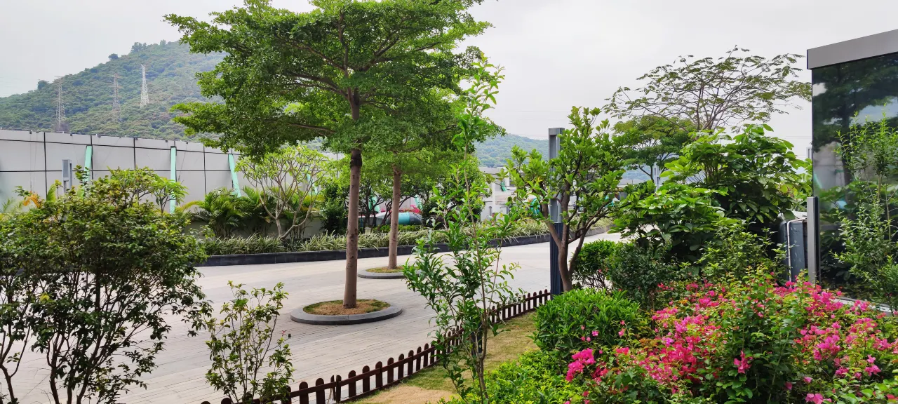 Shenzhen Nanshan Jingfeng Hotel (8)